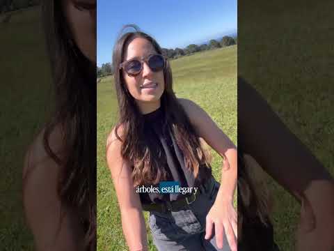 Parcelas en Los Lagos - Puerto Octay