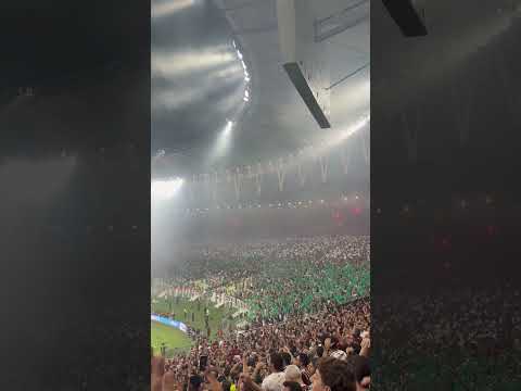 "La hinchada de Fluminense ante Palmeiras por la ida de las semifinales de la Copa Libertadores" Barra: O Bravo Ano de 52 &bull; Club: Fluminense &bull; País: Brasil