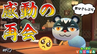 【あつ森】アプデ４日目！ナターシャが私のこと覚えてて泣く😭 #153 実況