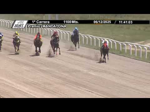 251206 c01 - EL SHARAWY - SINT COLONIA