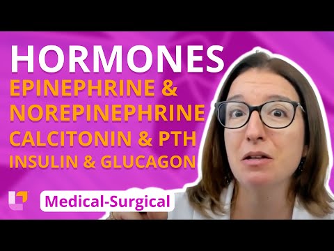 Epinephrine, Norepinephrine, Calcitonin, PTH, Insulin & Glucagon - Medical-Surgical | @LevelUpRN
