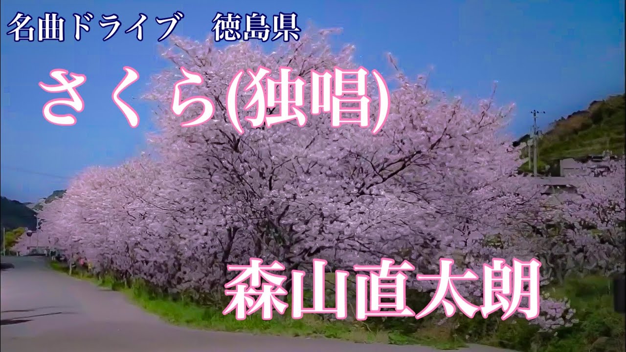 さくら（独唱）　森山直太朗 (2003)　名曲ドライブ　徳島県