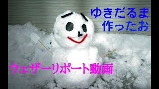 2018/12/29 ウェザーリポート動画【年末の大雪②】(29cm) ＠福島県福島市/13:30頃