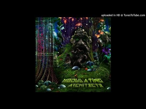 Drury Nevil - Psychedelic Experience