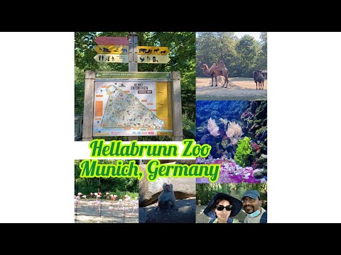 Things to know about the Geo-Zoo Hellabrunn, Munich, Germany
