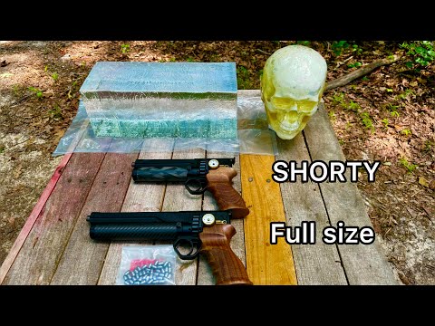 Huben GK1 Shorty VS. Full Length VS. ballistic Dummy Head POWER COMPARISON