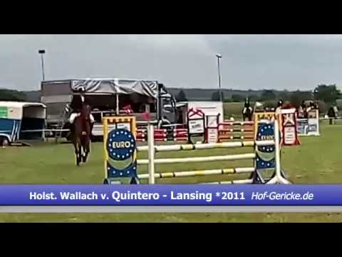 Holsteiner Wallach v. Larimar - Cassin II *2010