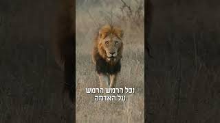 האם תהיה מלחמה או רעידת אדמה | הרב דניאל זר (הרב דניאל זר) - התמונה מוצגת ישירות מתוך אתר האינטרנט יוטיוב. זכויות היוצרים בתמונה שייכות ליוצרה. קישור קרדיט למקור התוכן נמצא בתוך דף הסרטון