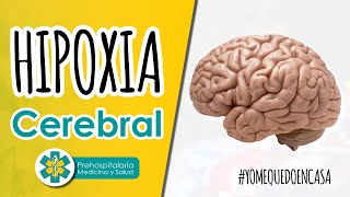 Qué es la HIPOXIA CEREBRAL 🧠
