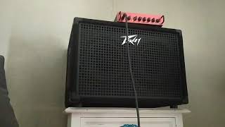 Video thumbnail for Buzzy Noise Peavey 210 Bass Cabinet by GO2PYRENEES