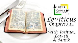 Leviticus Chapter 14