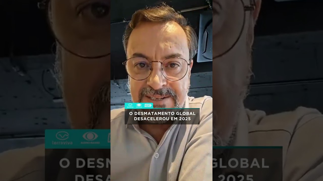 O desmatamento global desacelerou em 2025