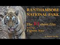 Ranthambore National Park With Tigress Noor Tiger T 39 In 4K