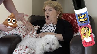 Dog Poop on Grandma Prank!