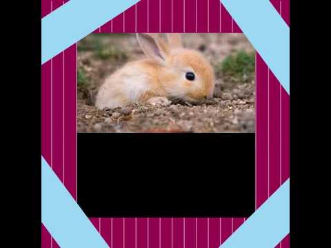 Sind klein aber denken sind groß