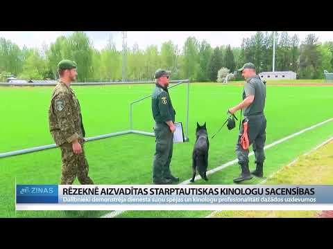 Rēzeknē sacenšas labākie kinologi no Latvijas un ārvalstīm