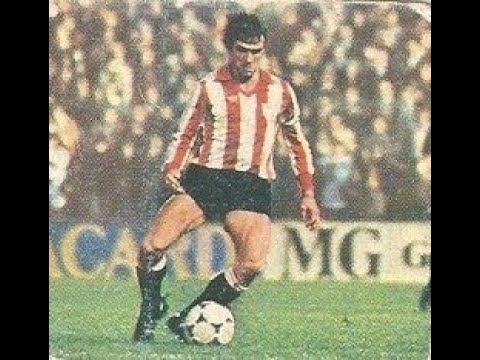 TEMPORADA 1982-83. LIGA DE PRIMERA DIVISIÓN DE ESPAÑA.