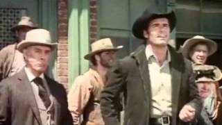 Support Your Local Gunfighter (1971) Video