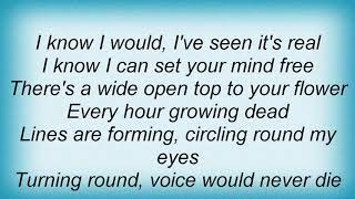 Screaming Trees - Lines Circles Lyrics