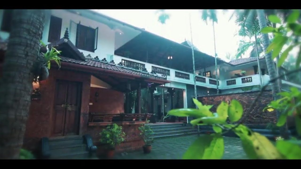 Ayurveda Video