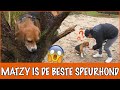 Iets wat Britt niet wist...Matzy een verborgen speurhond?! | DierenpraatTV