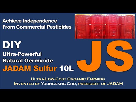 February 2023 JADAM Lecture tour in the USA