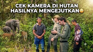 Download lagu #2 ONE WEEK IN THE FOREST WITH A CUSTOMER_CHECKING THE CAMERA IN THE FOREST AND THE RESULTS SURPR... mp3 Download lagu #2 ONE WEEK IN THE FOREST WITH A CUSTOMER_CHECKING THE CAMERA IN THE FOREST AND THE RESULTS SURPR... mp3