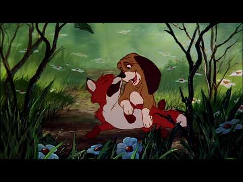 Beyond The Rainbow Bridge ~ MultiFandom Pet AMV