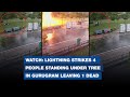 WATCH Lightning strikes 4 people standing under tree in Gurugram leaving 1 dead