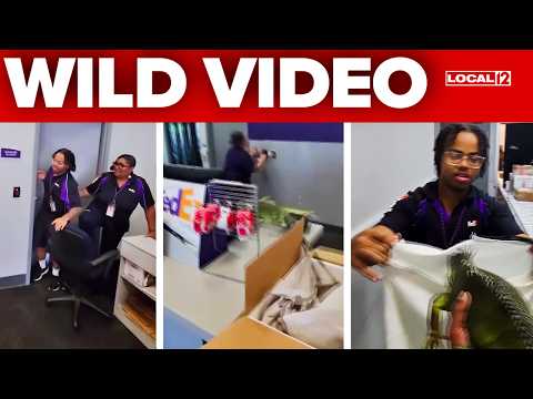 Ups Fedex Store