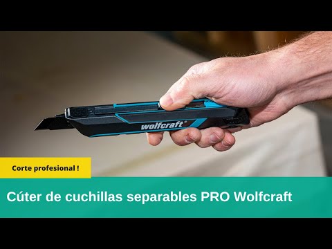 4291000_Snap-Off-Blade-Knife-PRO-SAFETY-25-mm_PRO_SCP_es_2024.mp4