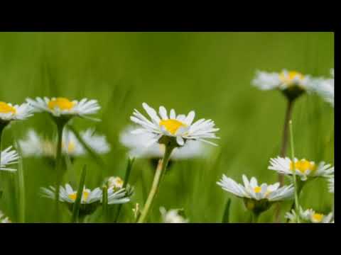 Lost Identities x Robbie Rosen - Moments