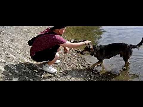 Kazenito - Nieporozumienie feat.  Aga Walczak OFFICIAL VIDEO