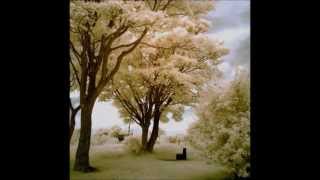 phonique - jazzy vibe (volker meitz remix)