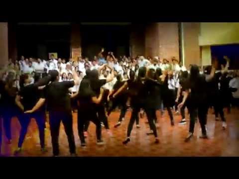 FRESHER 2016 || IMS DEHRADUN