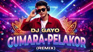Download lagu DJ GAYO X GUMARA - PELAKOR (REMIX) mp3 Download lagu DJ GAYO X GUMARA - PELAKOR (REMIX) mp3