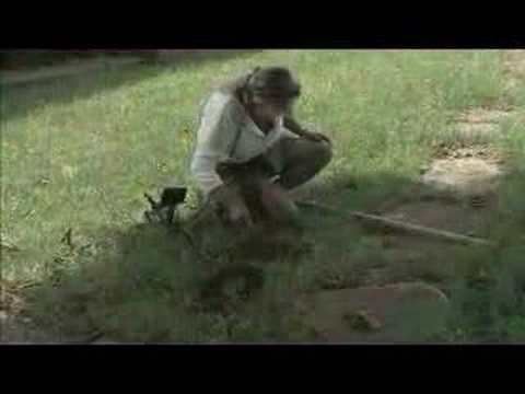 Treasure Hunting America EP113 Part1