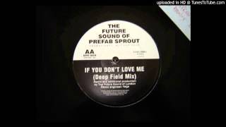 Prefab Sprout~If You Don't Love Me [F.S.O.L. Deep Field Mix]