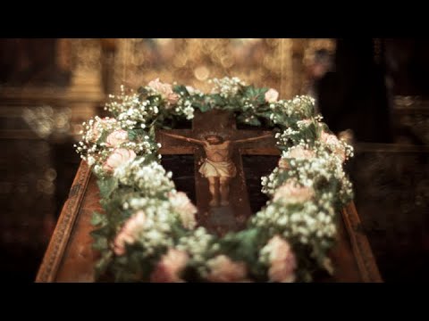 Cruce Sfanta, parasita | VIRGINIA FRINCU