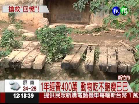 新竹動物園老又窮 動物瘦巴巴