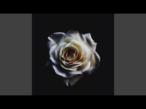 Sav Vito  Music Video