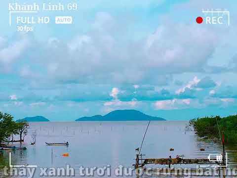 Đất mũi Cà Mau Sheet - Quốc Đại