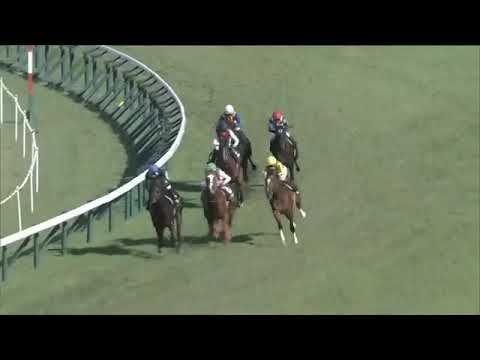 2021.10.17 Momiji Stakes (JPN) - Kaju Faith
