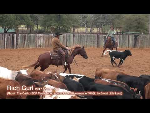 download lagu mp3 mp4 Www Richgurl Com, download lagu Www Richgurl Com gratis, unduh video klip Www Richgurl Com