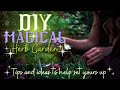 DIY Magical Herb Garden Witchcraft 101 ‍ ️ Magical Qualities