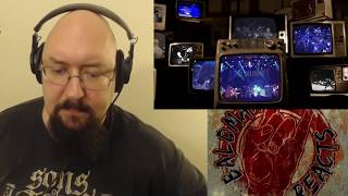 Metal Allegience Bound By Silence Opinion. Testathrax, heavy, and nasty with John Bush on vox..