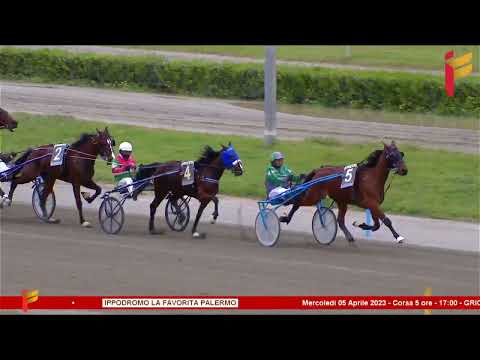 V Corsa del 5 Aprile 2023 - 3 Anni - Metri 1600 - Gara centrale