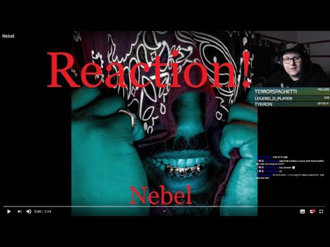 Aus dem Livestream! Habs SEHR GEFÜHLT! - Reaction auf "OG Keemo - Nebel"