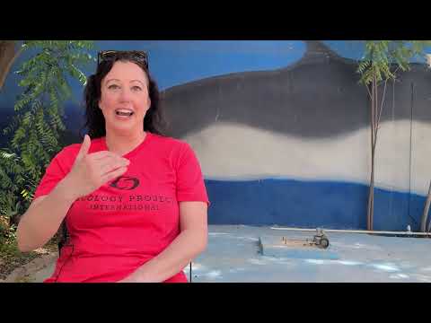 Engaged in Exploring: EPI Fellowships