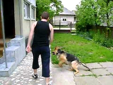 Football player Tasha